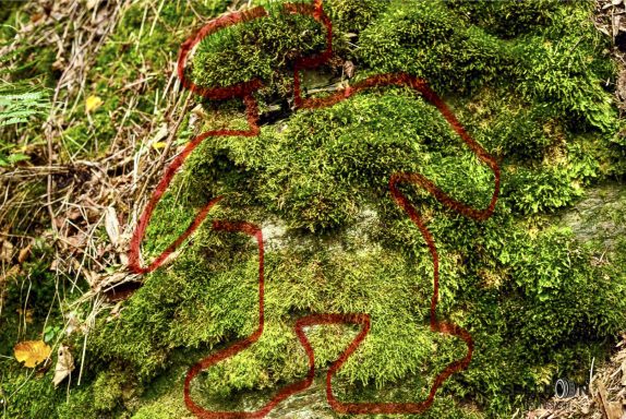 Rock Moss Man Supported