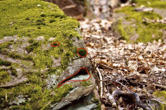 Rock Face Supported
