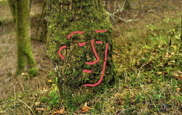 Tree Moss Face Supported